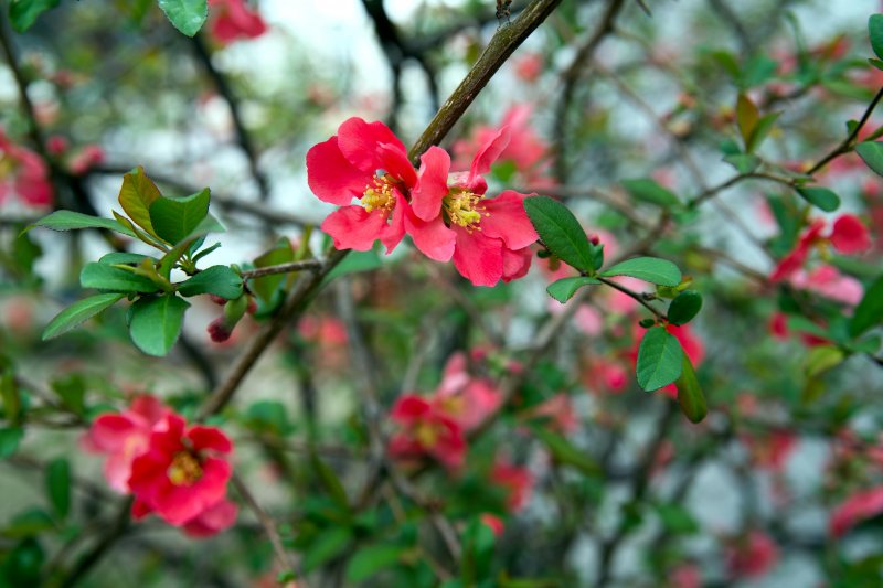 Brunch Menu The Margarita at Pine Creek